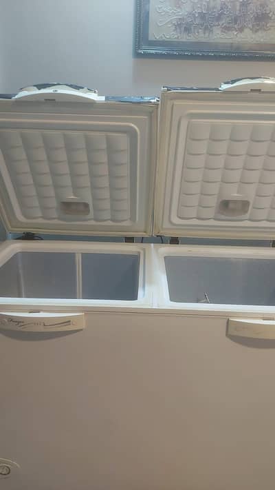 Waves double door deep freezer