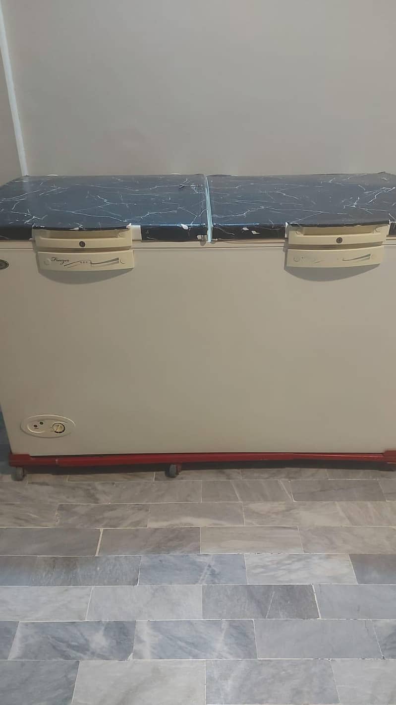 Waves double door deep freezer 1