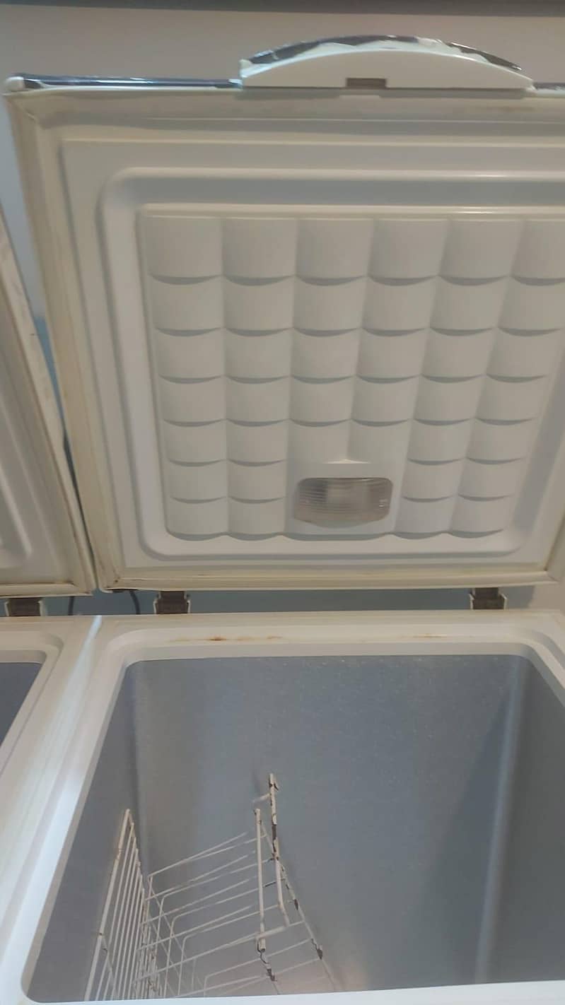 Waves double door deep freezer 2