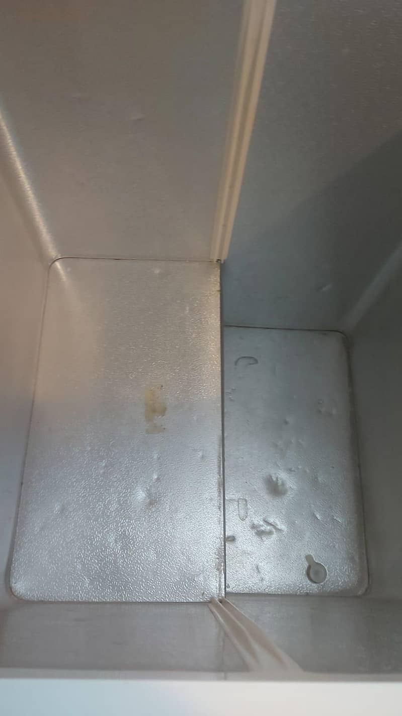 Waves double door deep freezer 3