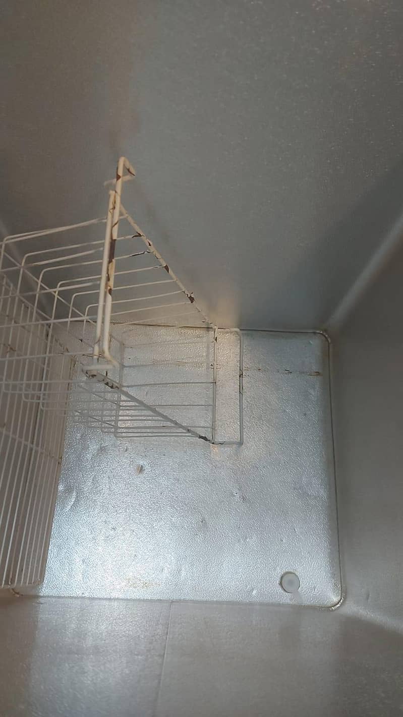 Waves double door deep freezer 4