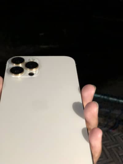 Apple iPhone 12 Pro Max