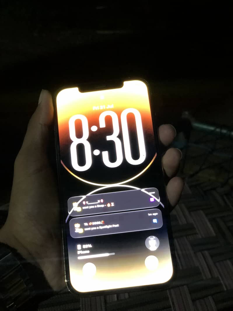 Apple iPhone 12 Pro Max 1