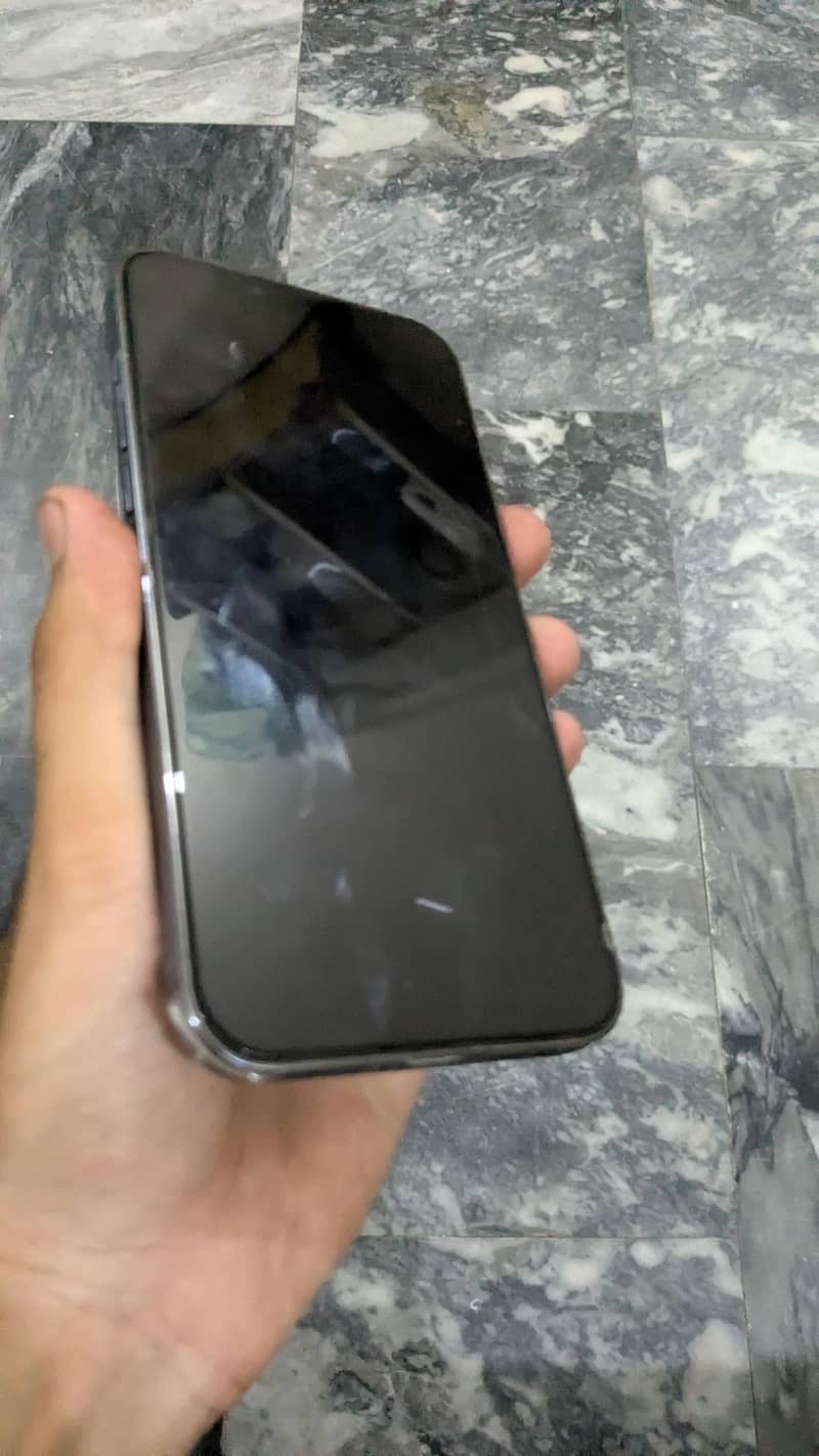 Apple iPhone 13 Pro Max 12
