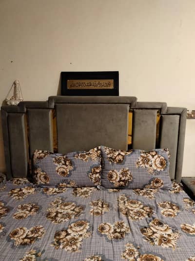 bed For Seal Urgently