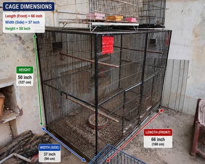 Heavy-Duty Large Parrot Cage for Sale