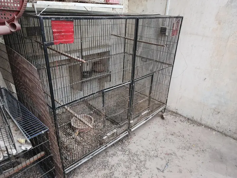 Heavy-Duty Large Parrot Cage for Sale — photo 3