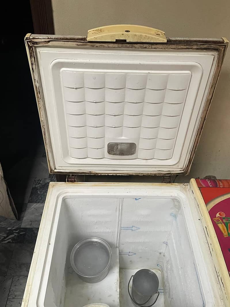 Waves Big Freezer 2