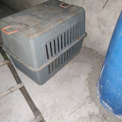 dog jett box for sale    03495536584