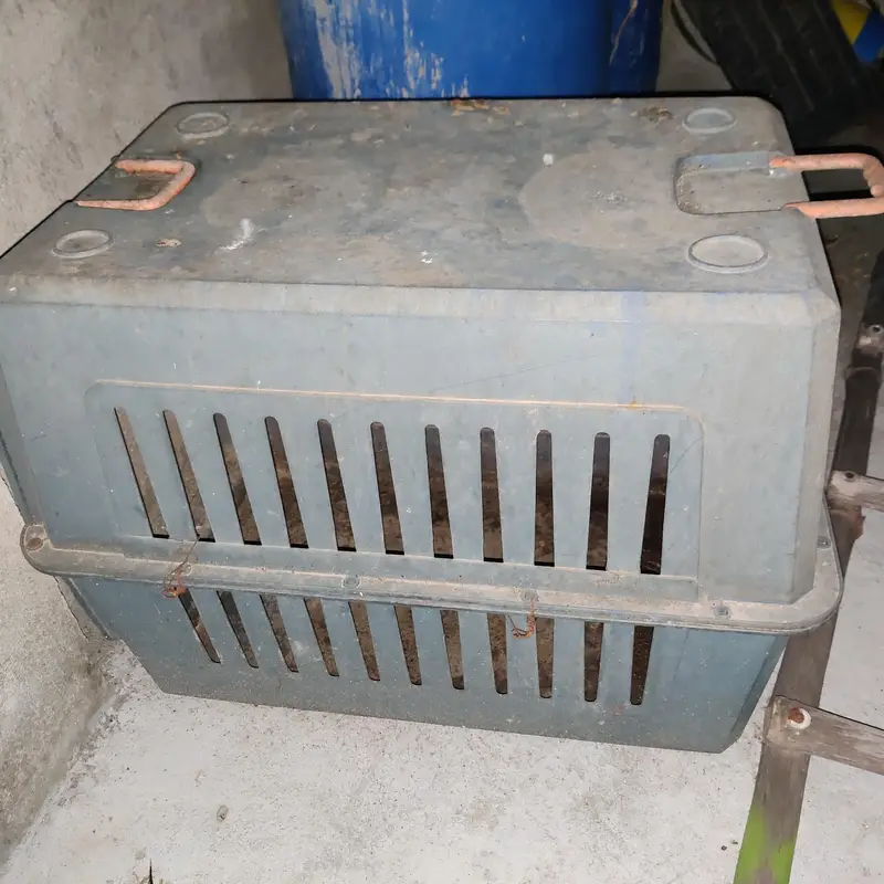 dog jett box for sale    03495536584 — photo 3