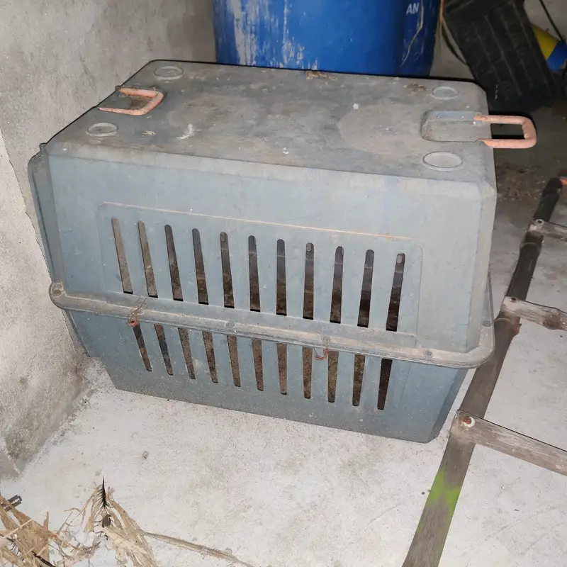 dog jett box for sale    03495536584 — photo 4