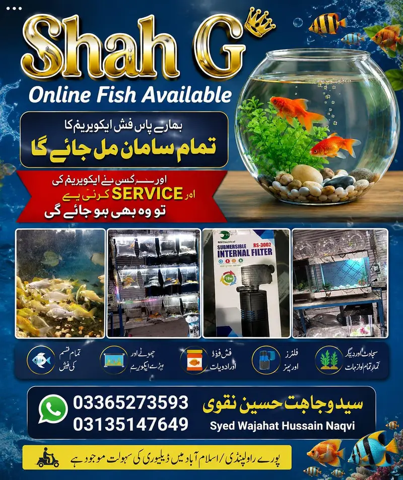 Aquarium fish bowl Available