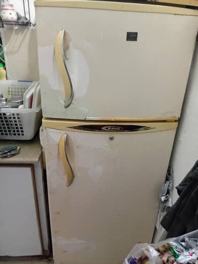 waves fridge