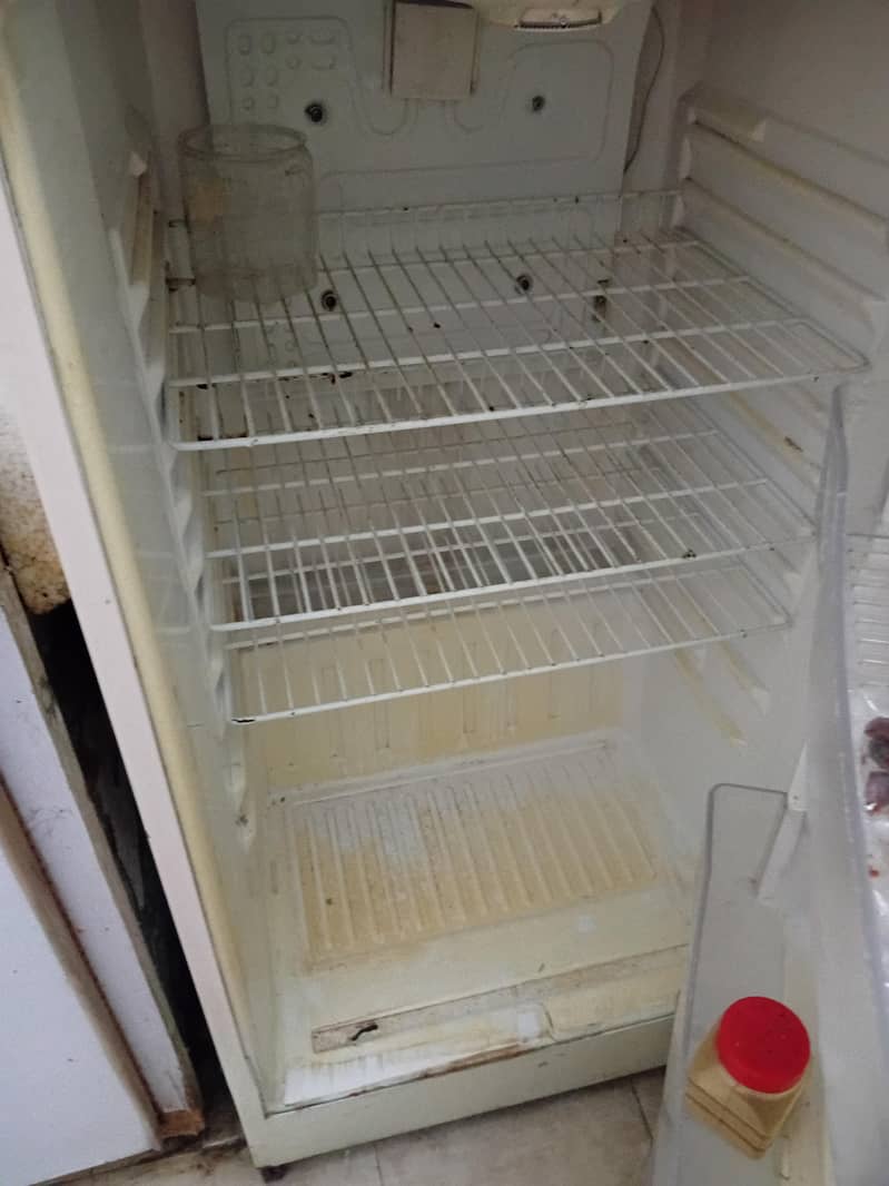waves fridge 1