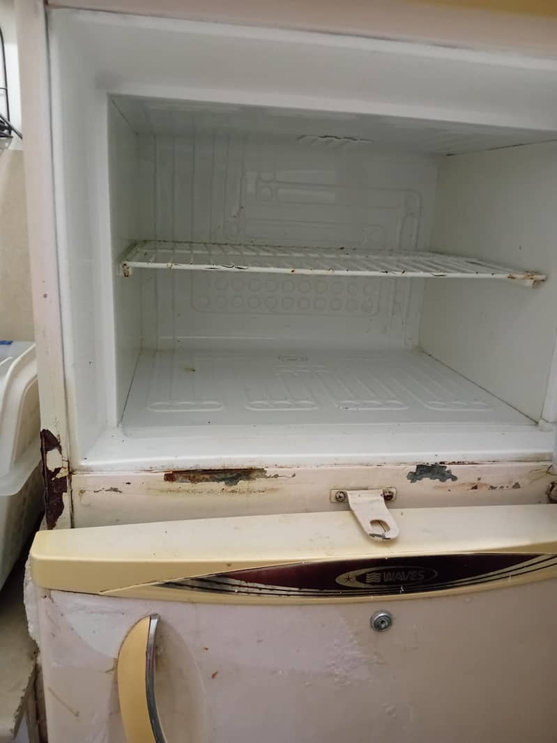 waves fridge 2
