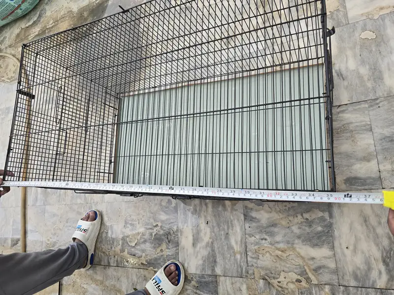foldable birds cage please 2k. 2.5k wala message na kry — photo 2