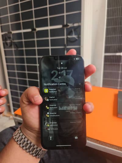 Apple iPhone 13 Pro Max