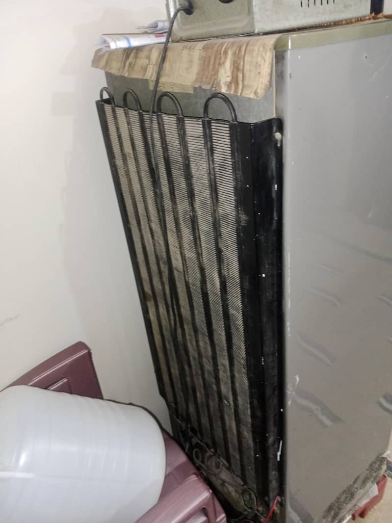 PEL freezer 1