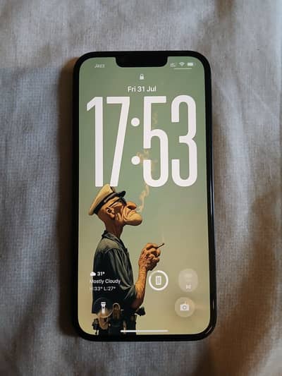 Apple iPhone 13 - water pack - 92% battery health