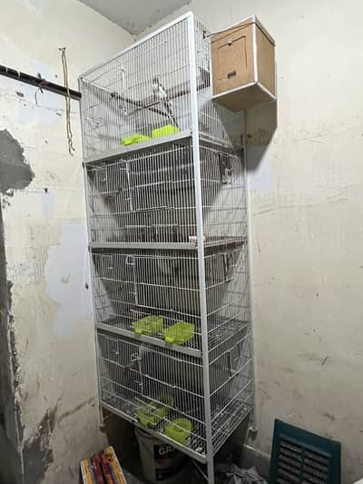 Without parrots Iron cages / 4 portion cages / size 1.5 by 2.5