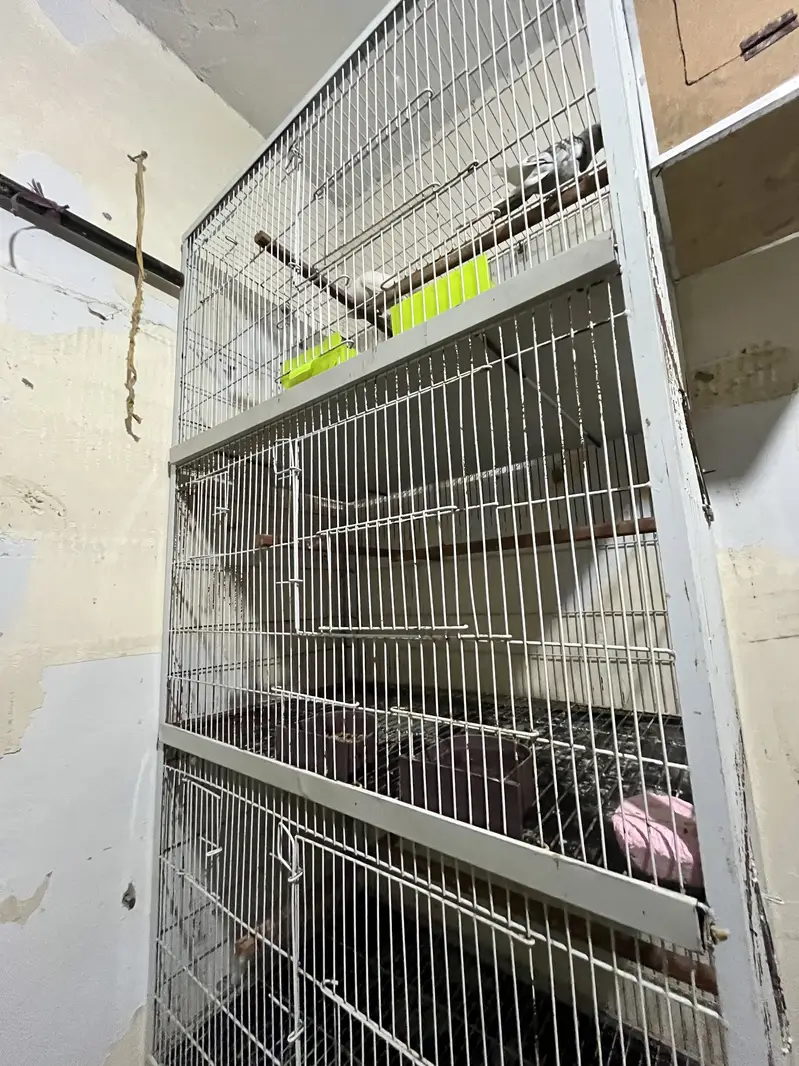 Without parrots Iron cages / 4 portion cages / size 1.5 by 2.5 — photo 2