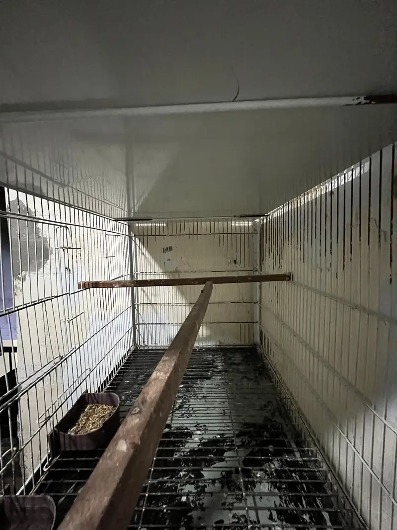 Without parrots Iron cages / 4 portion cages / size 1.5 by 2.5 — photo 3