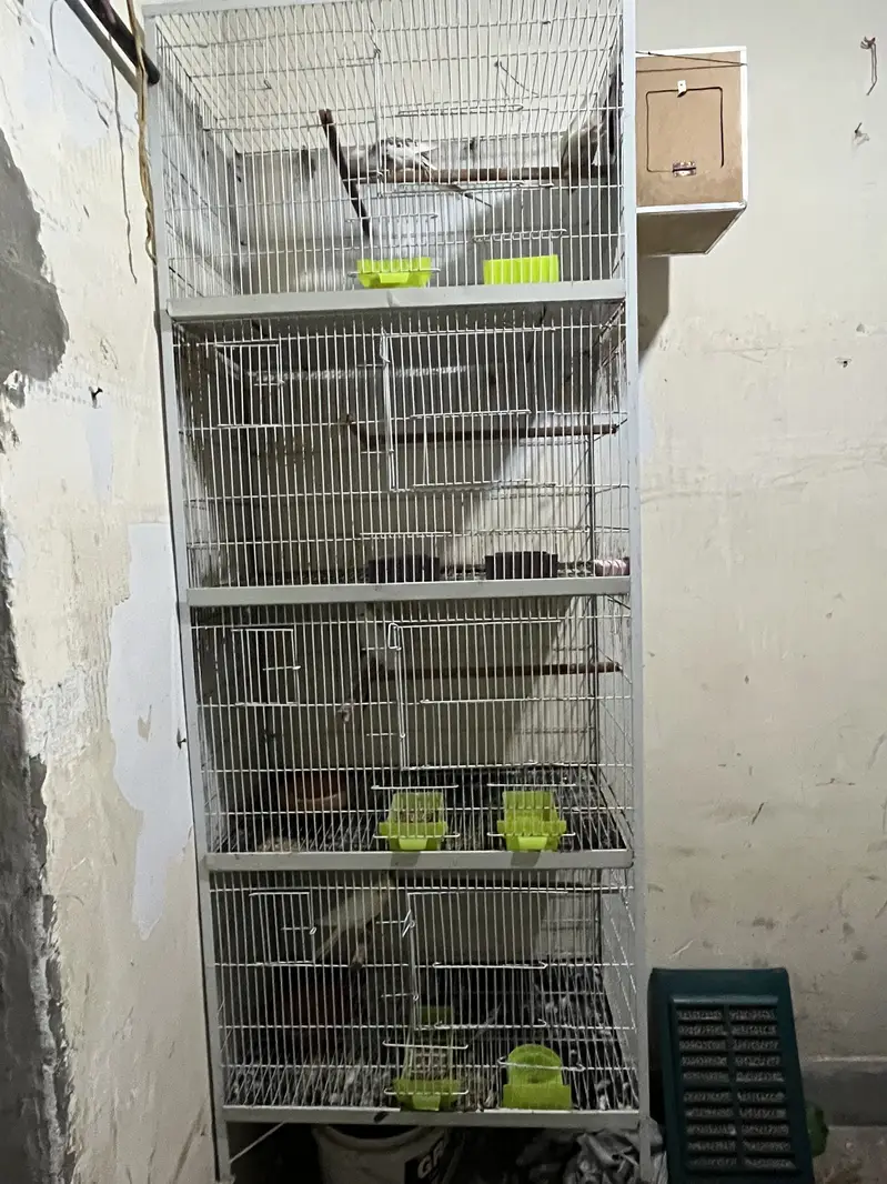 Without parrots Iron cages / 4 portion cages / size 1.5 by 2.5 — photo 4