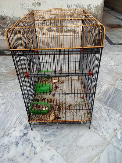 Raw parrot big size cage available