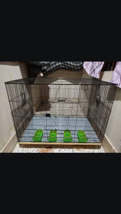 Green Parrot Cage