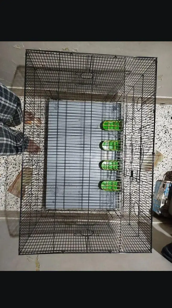 Green Parrot Cage — photo 2