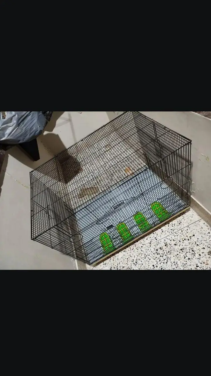 Green Parrot Cage — photo 5
