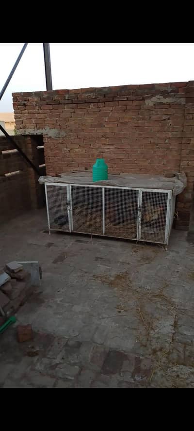 Hen cage