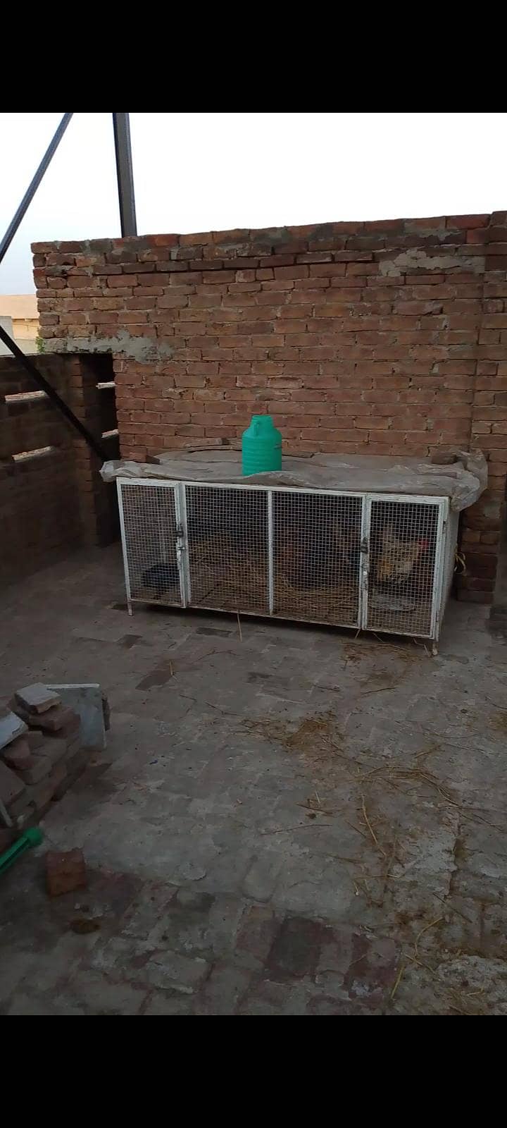 Hen cage 0