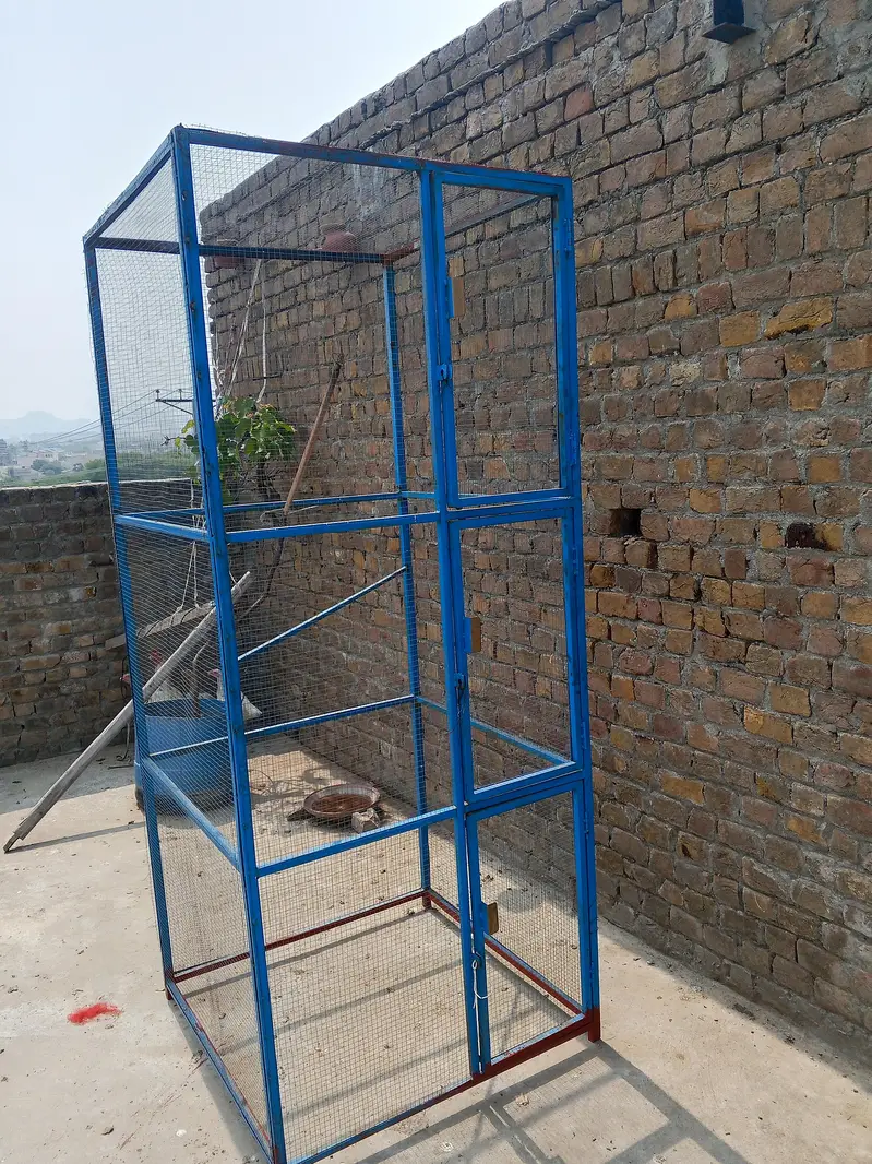 8 fit 4*4 ka big cage — photo 2