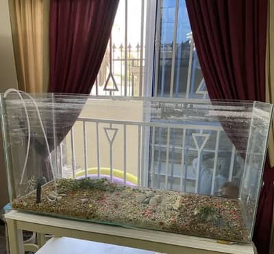 Fish Tank 4x1.8 ft