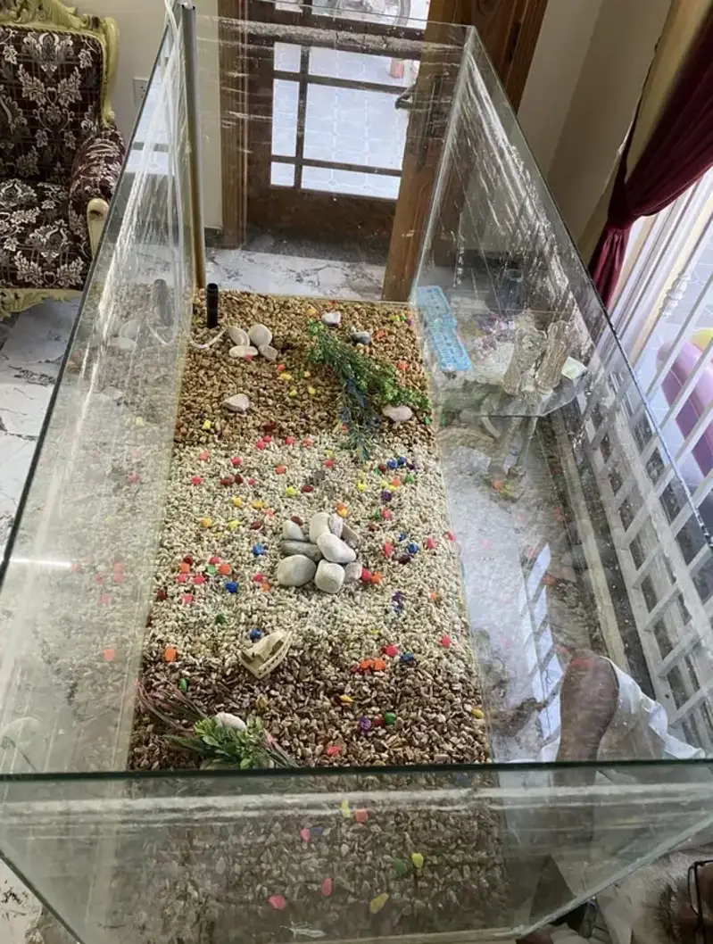 Fish Tank 4x1.8 ft — photo 2