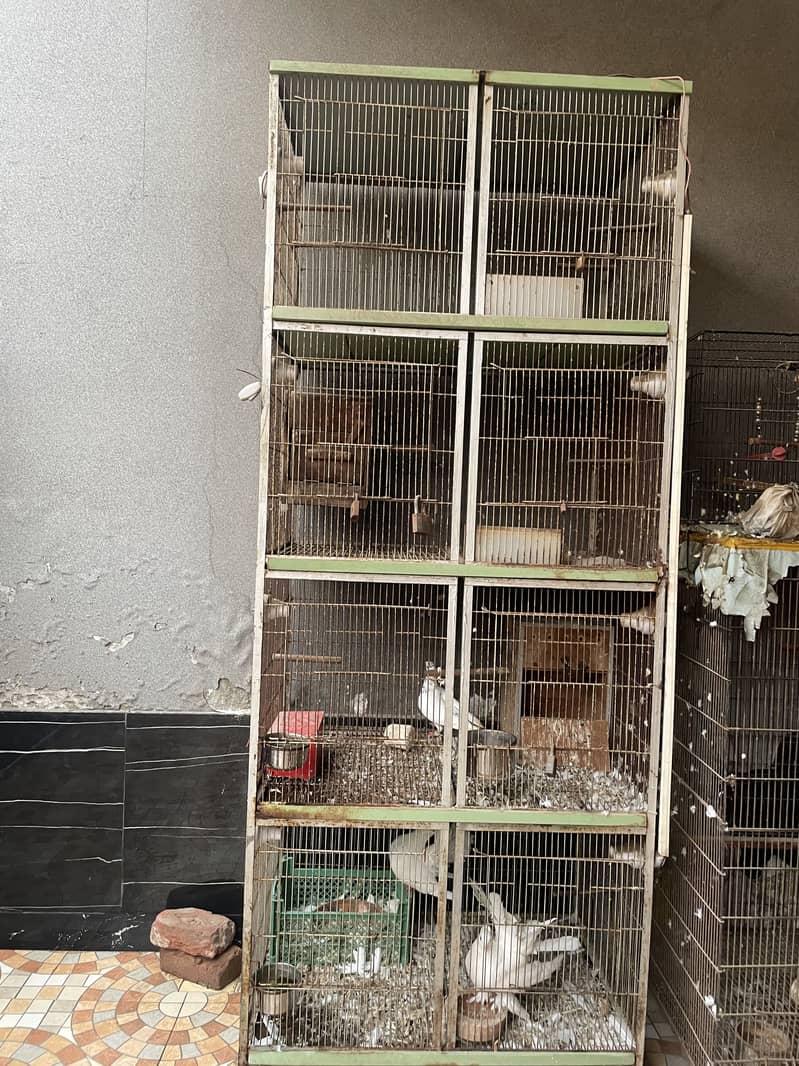 Cage 4 portion 0