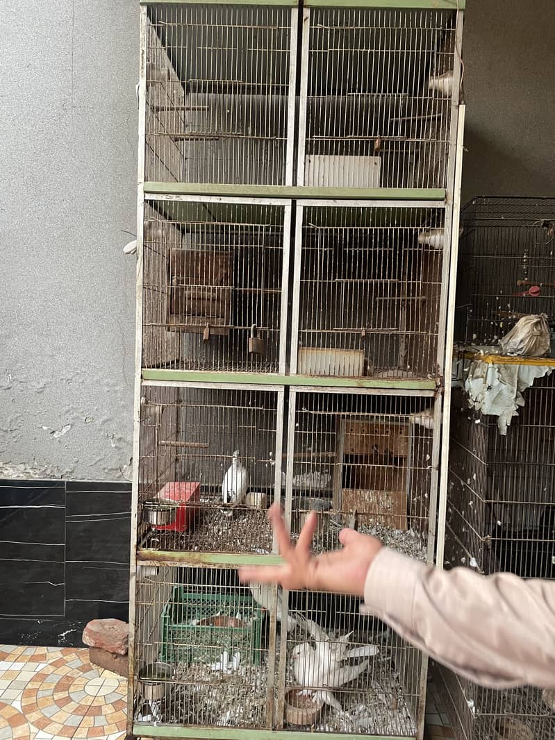 Cage 4 portion 1