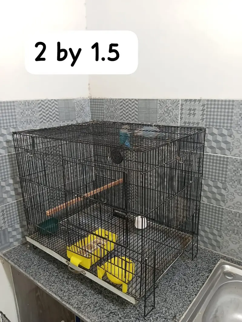 voilet opline adult Male love birds cages cocktail cages — photo 4