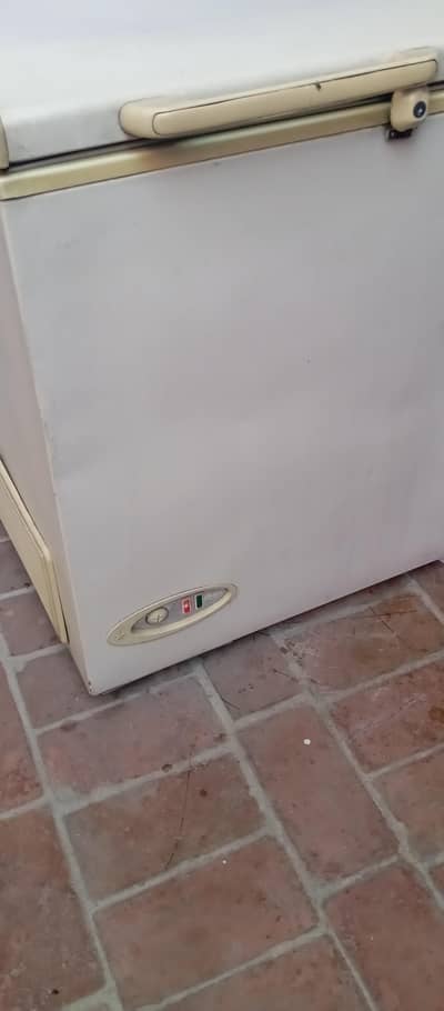 Double Door BigDeep freezer