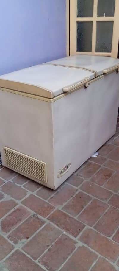 Double Door Waves  Big Deep freezer