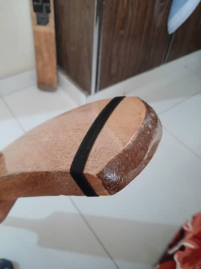 Srilankan coconut bat