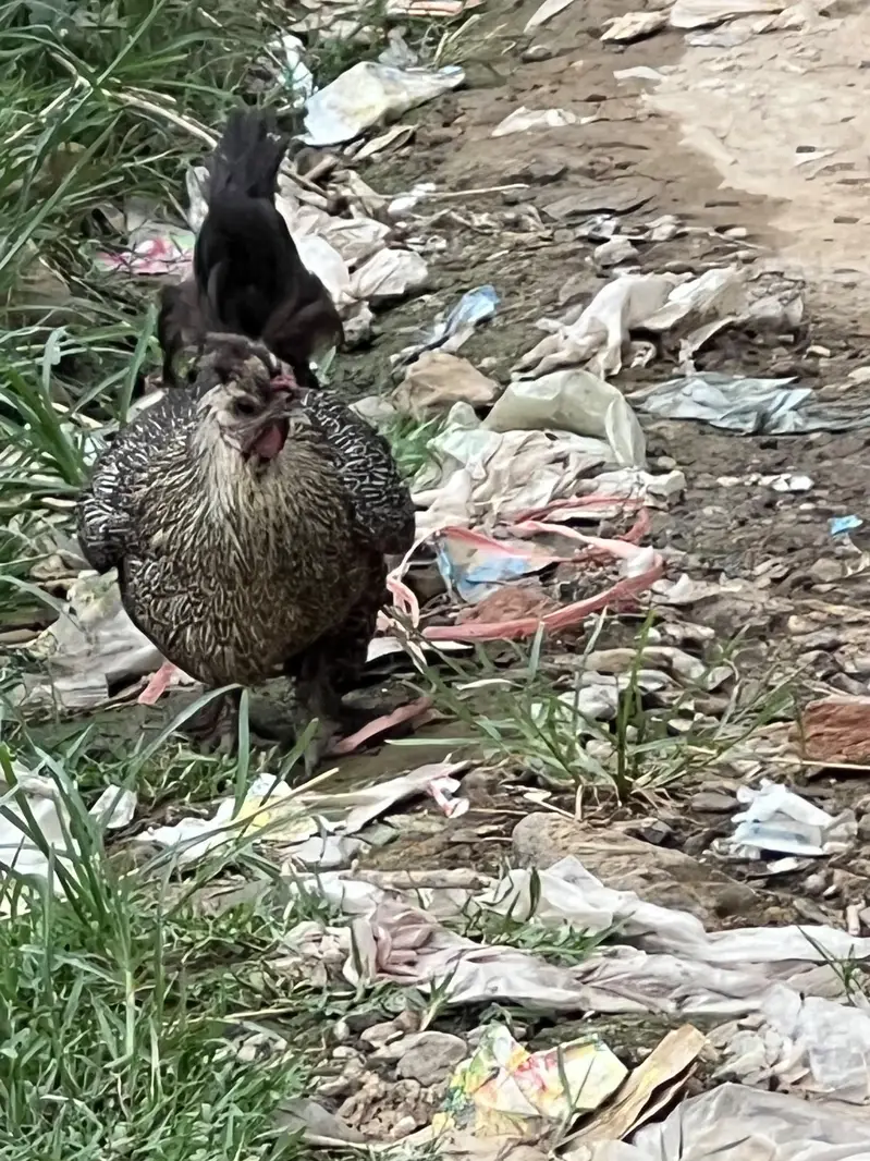 fancy pair ha agr Kise ko Lana ha to rabta krya — photo 2