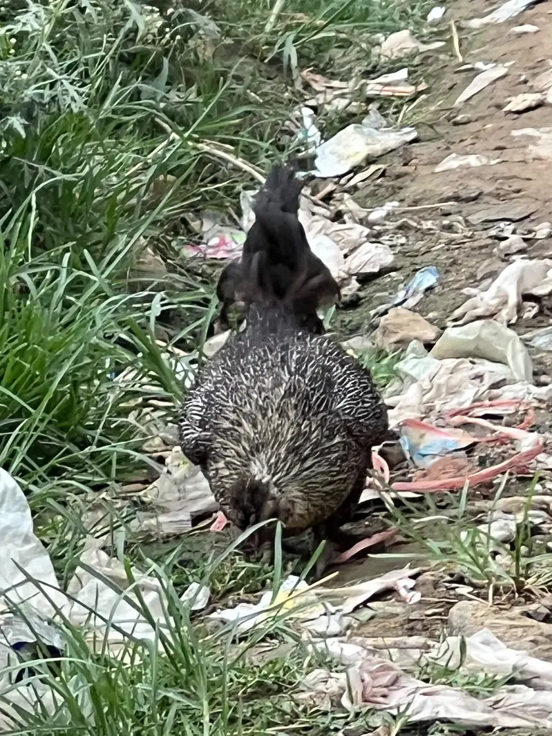 fancy pair ha agr Kise ko Lana ha to rabta krya — photo 4