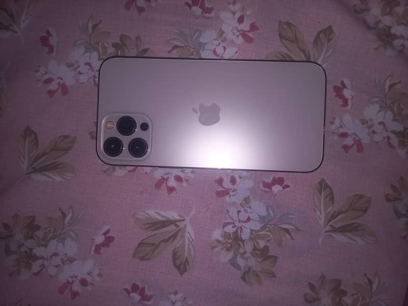 Apple iPhone 12 Pro Max | PTA Approved | 256 GB | 6