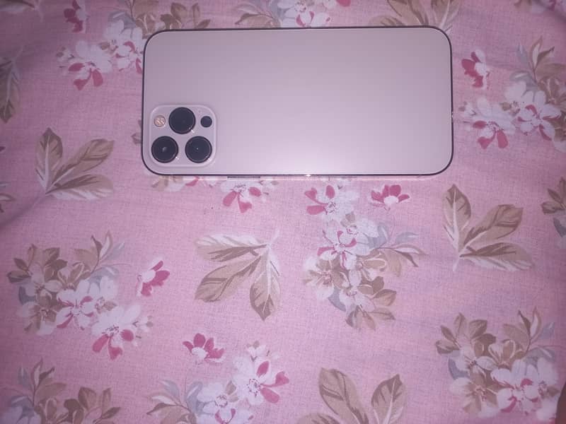 Apple iPhone 12 Pro Max | PTA Approved | 256 GB | 7