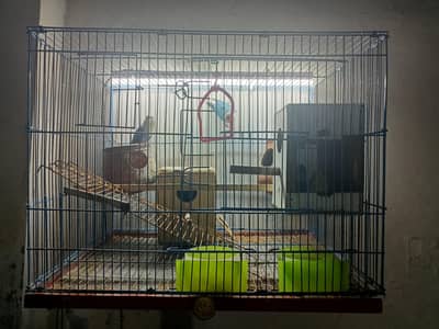 cages for sale
