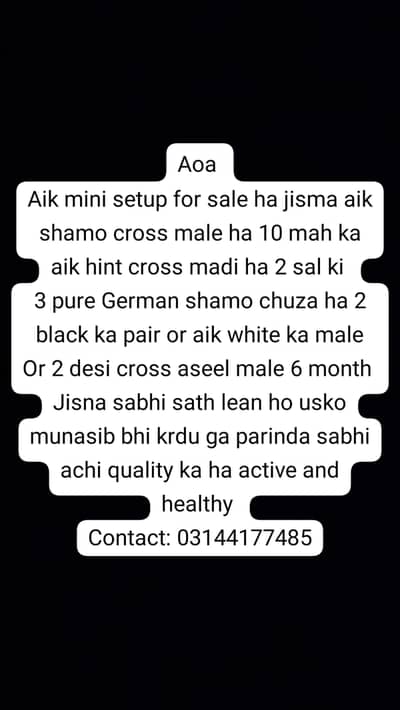 Aoa setup for sale intrested people contact on WhatsApp