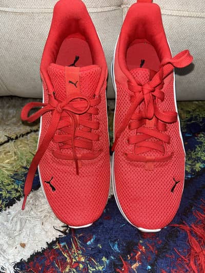 Puma smash joggers 372004-12 xk