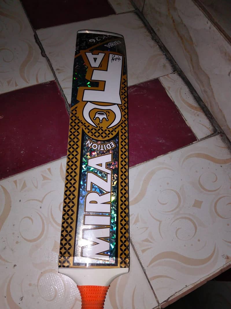 cricket bat 2